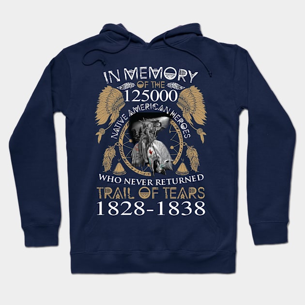 Indian Native American Hero Hoodie by Antrobus